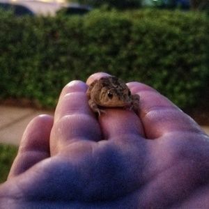 Meet your Posher, Kyle